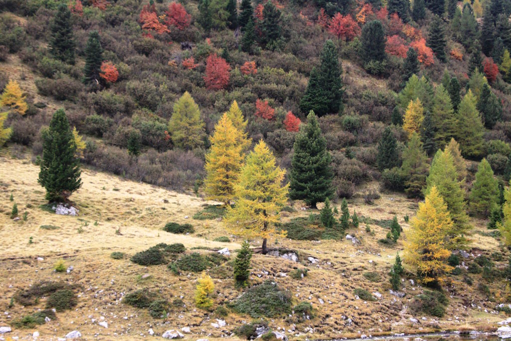 bergfoto_im_herbst